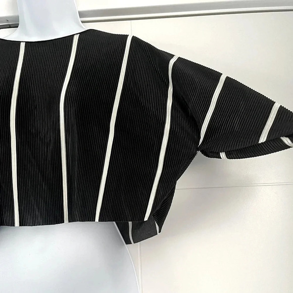 Zara/  Cropped tee-shirt/ Blouse/ Accordion style fabric/ Silky/ Size US S - Picture 4 of 10